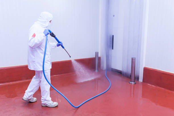 Best Deck and Patio Pressure Washing in Willacoochee, GA