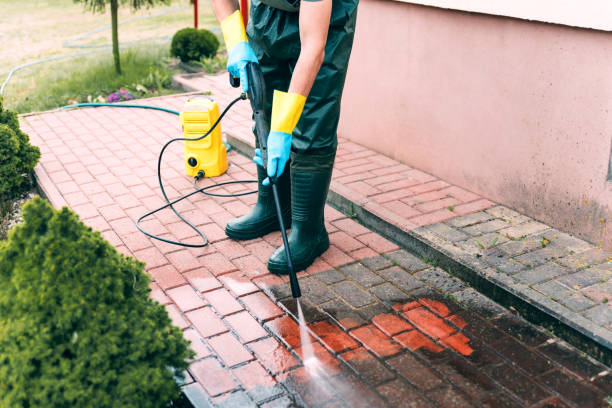 Best Vinyl Siding Pressure Washing in Willacoochee, GA